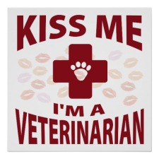 kiss_me_im_a_veterinarian_posters-r9cb13e086b174bb49f4789be036aea86_w2q_8byvr_512